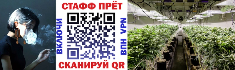 Магазин наркотиков Курлово АМФЕТАМИН  Мефедрон  Конопля  Метамфетамин  СОЛЬ 