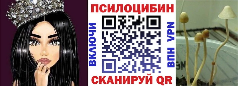 Псилоцибиновые грибы Psilocybine cubensis МЕГА маркетплейс Курлово